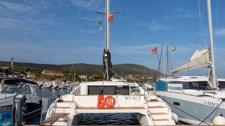 From Stintino: Catamaran tour to Asinara Island - Wind, comfort, and the practical tradeoffs