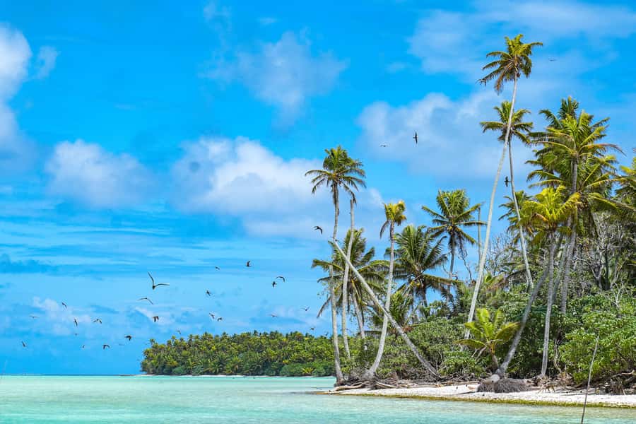 From Tahiti: Tetiaroa Island Tour by Sailing Catamaran - Tetiaroa catamaran tour at a glance