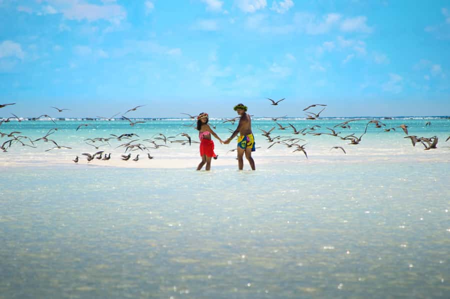 From Tahiti: Tetiaroa Island Tour by Sailing Catamaran - The return trip, fruit salad, and punch