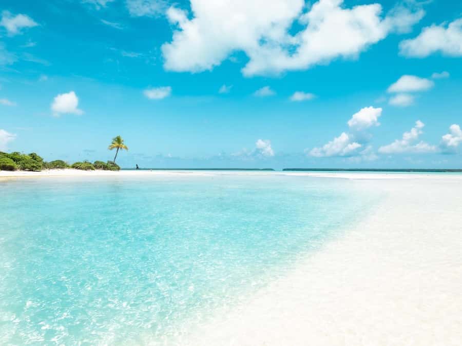 From Tahiti: Tetiaroa Island Tour by Sailing Catamaran - Snorkeling along the reef