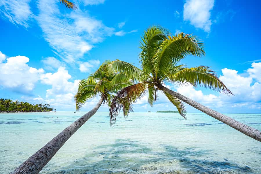 From Tahiti: Tetiaroa Island Tour by Sailing Catamaran - The 5:45 AM meeting at Papeete Marina