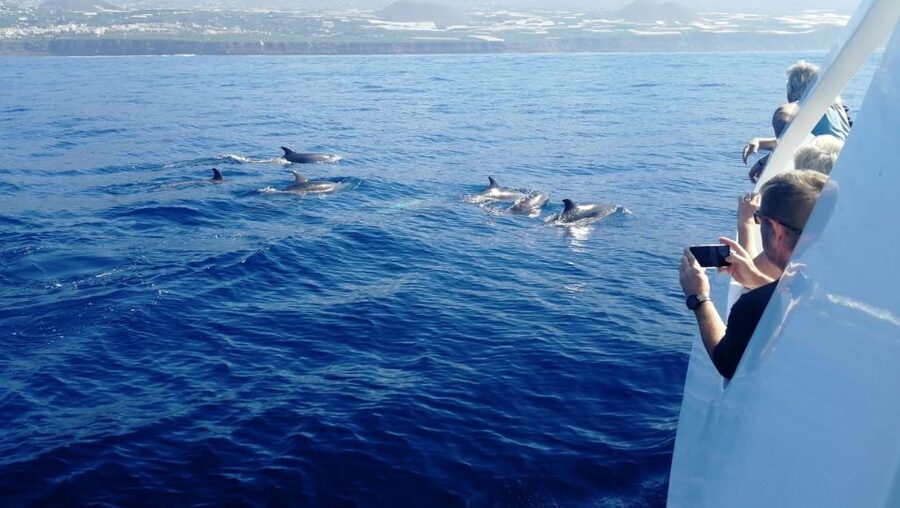From Tazacorte: Discover the Northwest Coast by Speedy Yacht - La Cueva Bonita and La Cueva Colorada