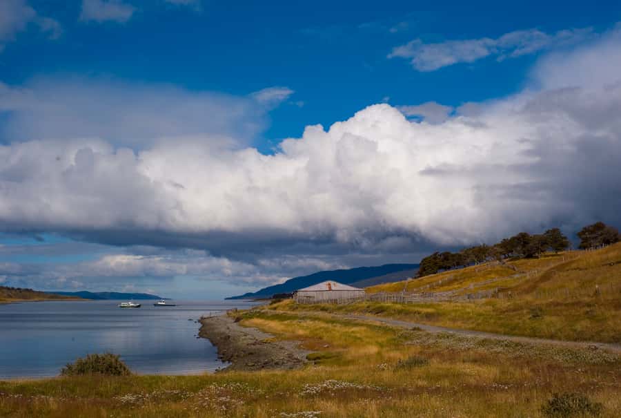 From Ushuaia: Penguin Watching Tour by Catamaran - Les Eclaireurs Lighthouse and a famous shipwreck