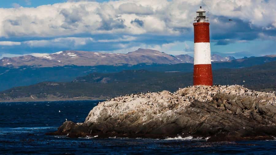 From Ushuaia: Penguin Watching Tour by Catamaran - What the catamaran is like in practical terms