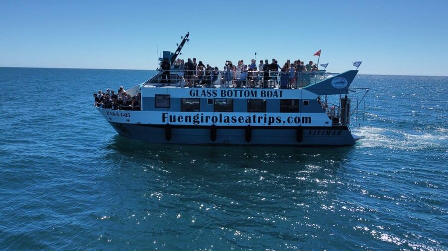 Fuengirola: Catamaran Tour to Spot Dolphins - Key points to know before you book