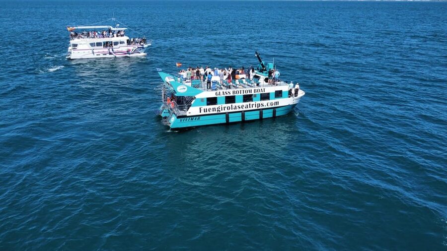 Fuengirola: Catamaran Tour to Spot Dolphins - A two-hour search for dolphins off Fuengirola