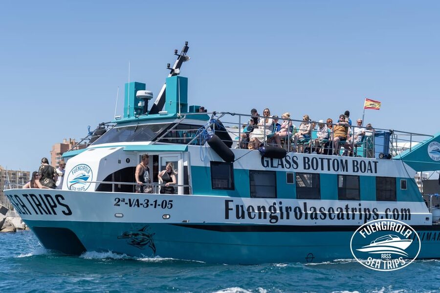 Fuengirola: Catamaran Tour to Spot Dolphins - What the catamaran feels like once you board