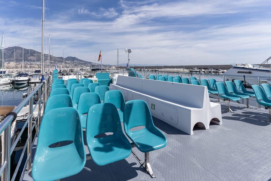 Fuengirola: Catamaran Tour to Spot Dolphins - Watching a pod in the open sea