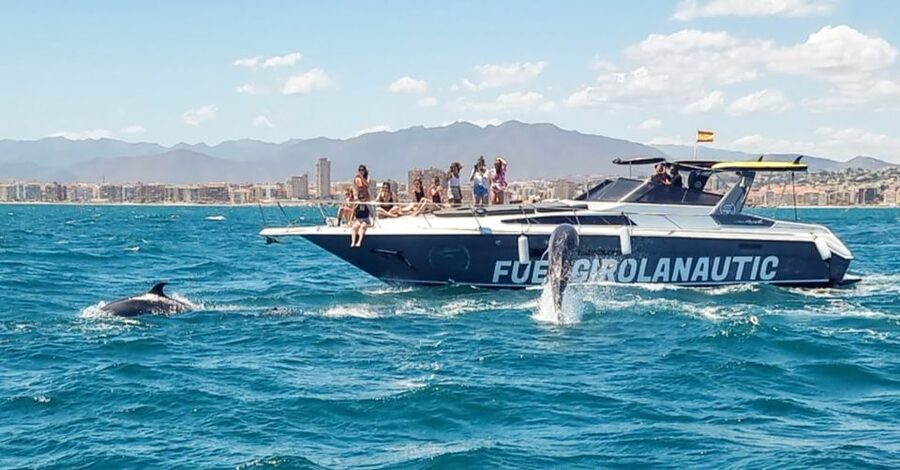 Fuengirola: Dolphin Watching by Yacht with Snacks and Drinks - What the two-hour timing gives you