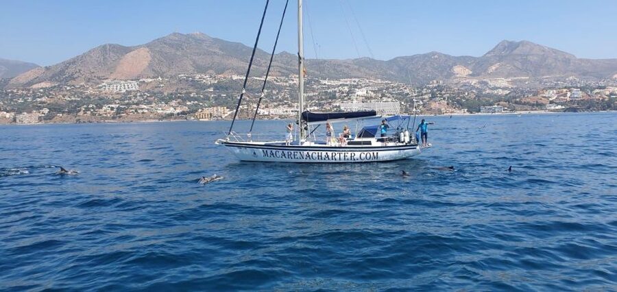 Fuengirola: Dolphin-Watching Sailing Tour with Drinks - Leaving Fuengirola Marina for open water