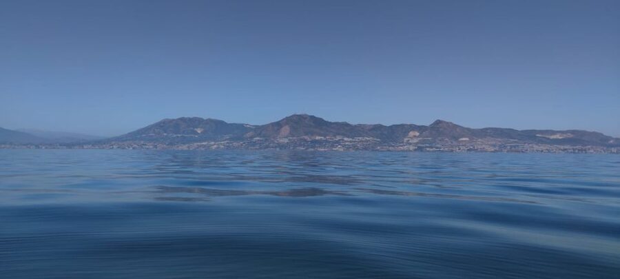 Fuengirola: Fantastic Dolphin Watching Yacht Tour with Drink - Practical tips for a better outing