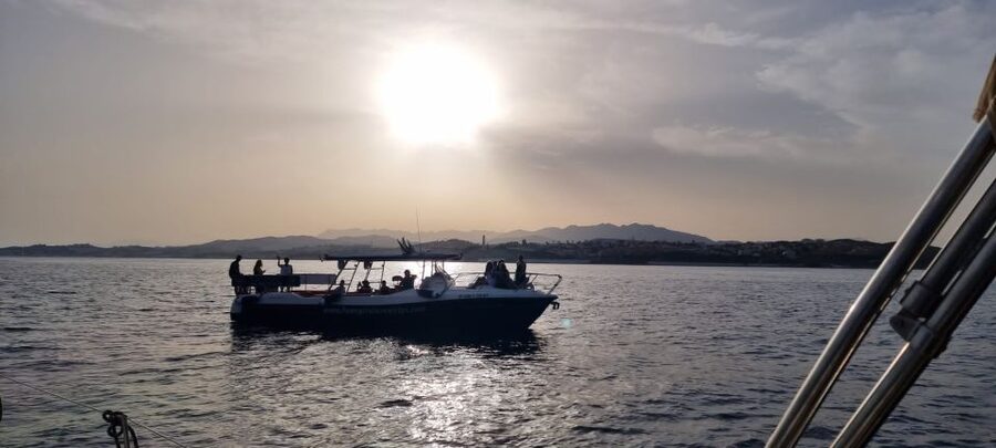 Fuengirola: Fantastic Dolphin Watching Yacht Tour with Drink - Leaving Puerto de Fuengirola for open water