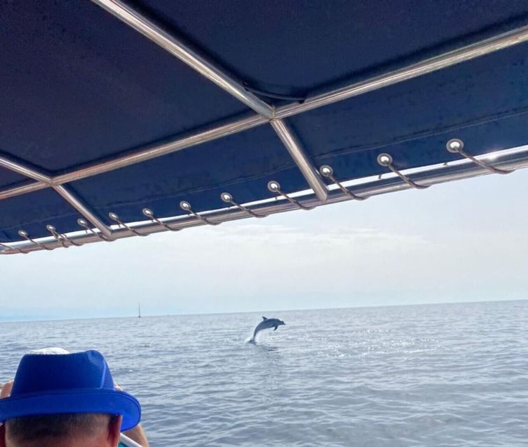 Fuengirola: Fantastic Dolphin Watching Yacht Tour with Drink - Boat comfort, crew service, and small uncertainties