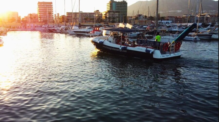 Fuengirola: Fantastic Dolphin Watching Yacht Tour with Drink - Who will enjoy this trip most?