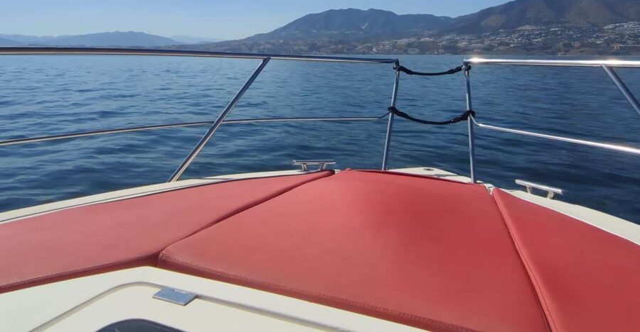 Fuengirola: Fantastic Dolphin Watching Yacht Tour with Drink - Searching the Costa del Sol for dolphins