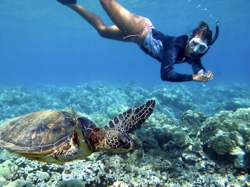 Fuerteventura : Catamaran excursion to Lobos Island - Is $82 good value for four hours?