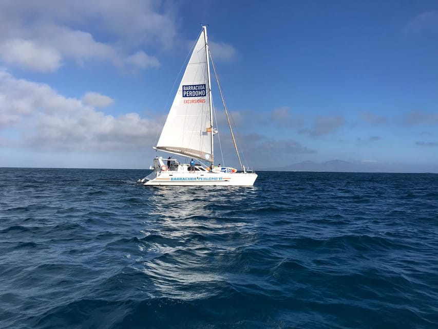 Fuerteventura : Catamaran excursion to Lobos Island - Who will enjoy this most?