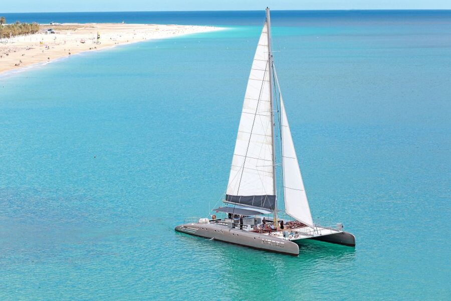 Fuerteventura: Magic Catamaran Trip with Food and Drinks - What the 1.5-hour wildlife search is really like
