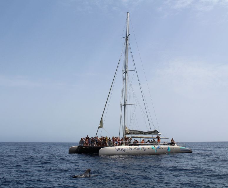 Fuerteventura: Magic Catamaran Trip with Food and Drinks - The Jandía swim stop and the cold Atlantic