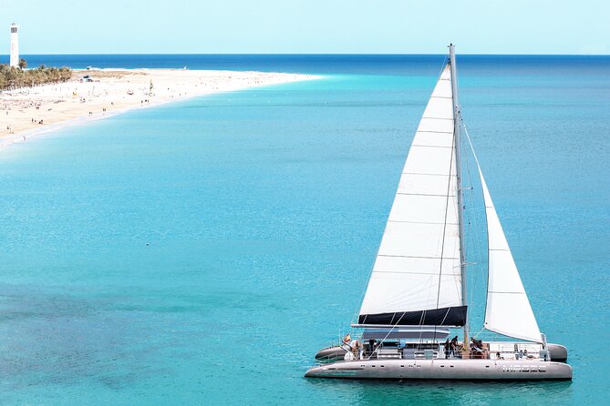 Fuerteventura: Magic Select Catamaran Trip with Food & Drinks - The search for dolphins and whales