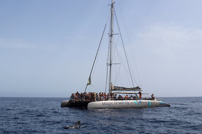 Fuerteventura: Magic Select Catamaran Trip with Food & Drinks - Should you book the Magic Select?