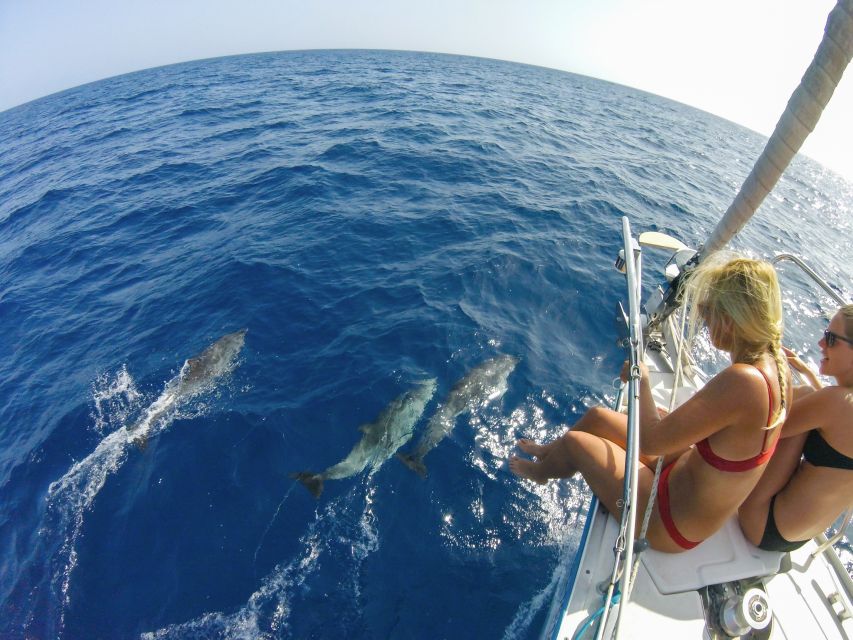 Fuerteventura: Sailing with Snorkeling and Dolphin Watching - Tapas, drinks, and the ride back