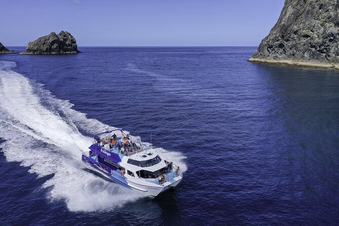 Full-Day Bay of Islands Tour by Vigilant Yacht Charters - Lunch, hot drinks, and life aboard Vigilant