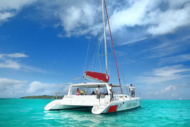 Full-Day Catamaran Cruise to Île aux Cerfs with BBQ Lunch - BBQ lunch, pineapple, and drinks throughout the day