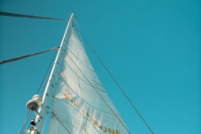 Full-Day Catamaran Cruise with Lunch in Island of Malta - The first hours: Maltese snacks and open sea views