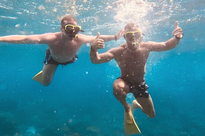 Full-day catamaran tour in Palermo: boat experience with lunch - What $205.59 buys you