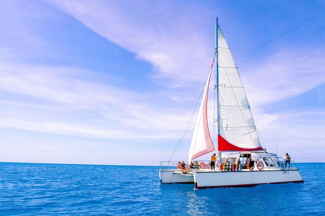 Full-Day Great Barrier Reef Sailing Trip from Cairns - What makes the price reasonable