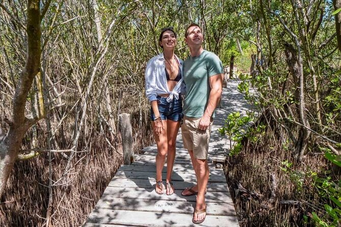 Full-Day Isla Contoy Sailing Nature Experience in Mujeres - Four and a half hours on Isla Contoy