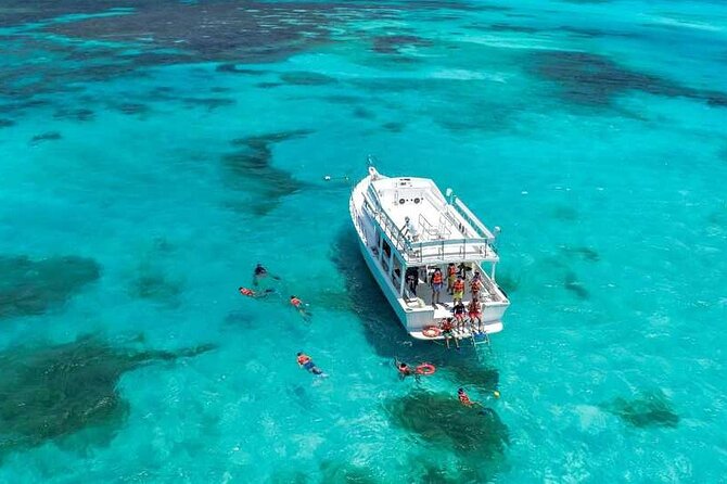 Full-Day Isla Contoy Sailing Nature Experience in Mujeres - What the $125.10 price really covers
