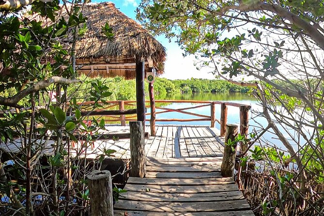 Full-Day Isla Contoy Sailing Nature Experience in Mujeres - Starting in Cancun at 10 a.m.