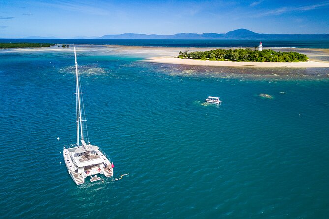 Full Day Low Isles Sailing & Snorkelling Cruise from Port Douglas - Why Low Isles makes a fine reef day