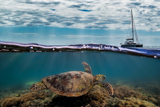 Full Day Low Isles Sailing & Snorkelling Cruise from Port Douglas - The lighthouse walk and island pause