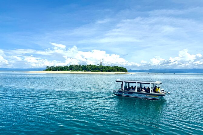 Full Day Low Isles Sailing & Snorkelling Cruise from Port Douglas - Who will get the most from this cruise