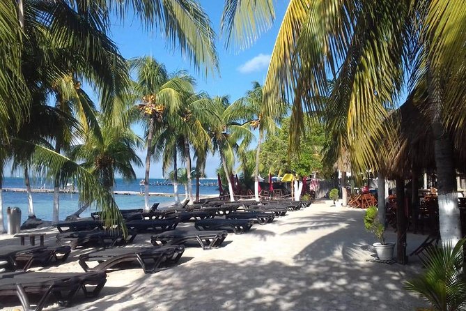Full-Day Luxurious Catamaran Adventure - Cancún to Isla Mujeres - Downtown time, shopping, and the human side of the trip