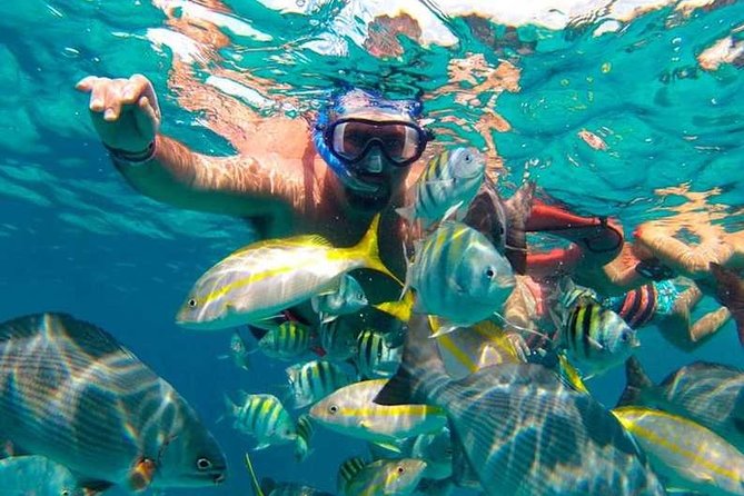 Full-Day Luxurious Catamaran Adventure - Cancún to Isla Mujeres - What the $62 price really covers