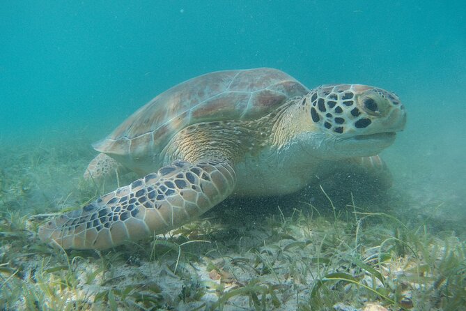 Full Day Private Charter, Snorkel St. John (12 guests, 55’ yacht) - Sailing past Trunk Bay and St. John National Park