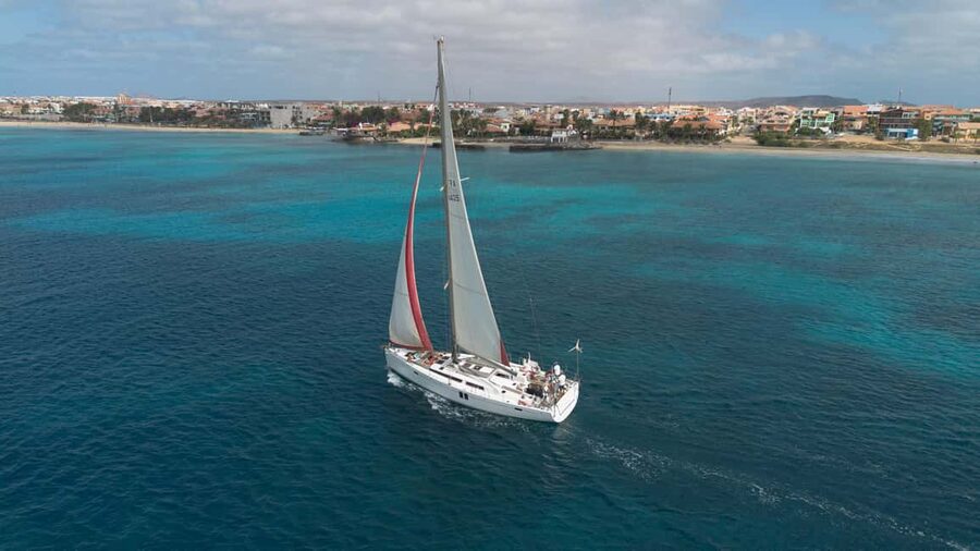 Full day sailing boat in Sal, Cape Verde:taste the Atlantic! - Wildlife seasons and realistic expectations