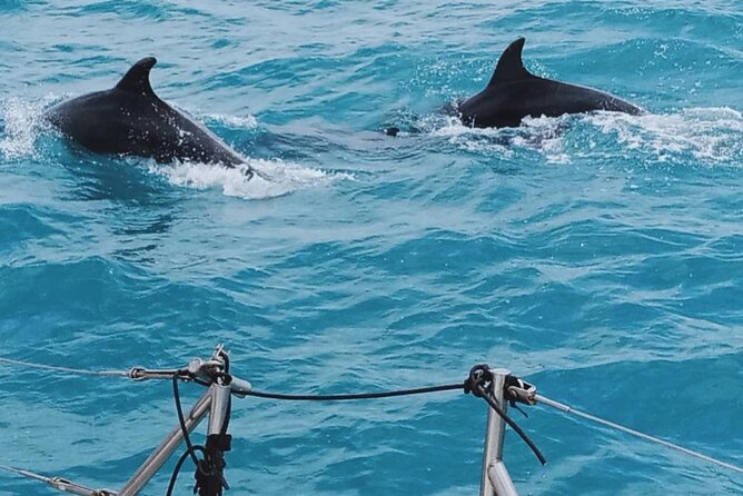 Full Day Sailing Tour Catania-Acitrezza - The main concern: ask about backup plans