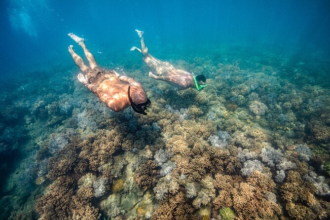 Full-Day Whitsunday Sail and Snorkel Adventure with Lunch - Lunch is better than a basic boat sandwich