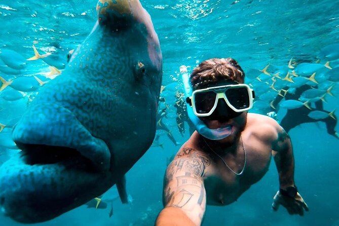 Full-Day Whitsunday Sail and Snorkel Adventure with Lunch - The crew sets the tone