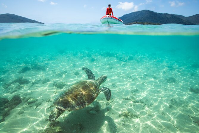 Full-Day Whitsunday Sail and Snorkel Adventure with Lunch - Comfort, shade, and open-water realities