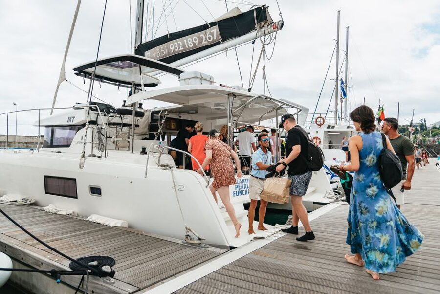 Funchal Bay: Dolphin & Whale Watch Luxury Catamaran Cruise - A quieter way to see Funchal Bay