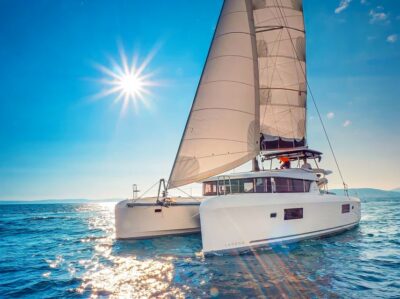Dolphin & Whale Watch Luxury Catamaran Cruise