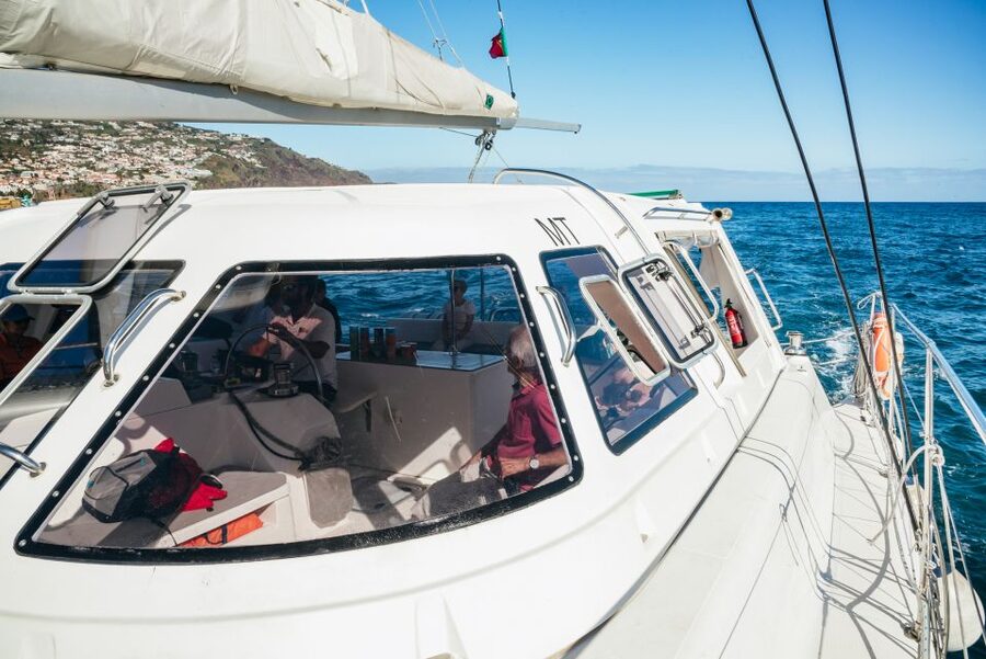 Funchal: Dolphin and Whale Watching by Luxury Catamaran - Cabo Girão and the seasonal swimming stop