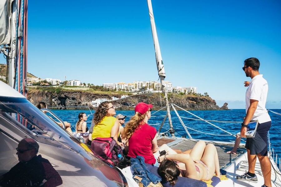 Funchal: Dolphin and Whale Watching by Luxury Catamaran - Why the smaller boat matters