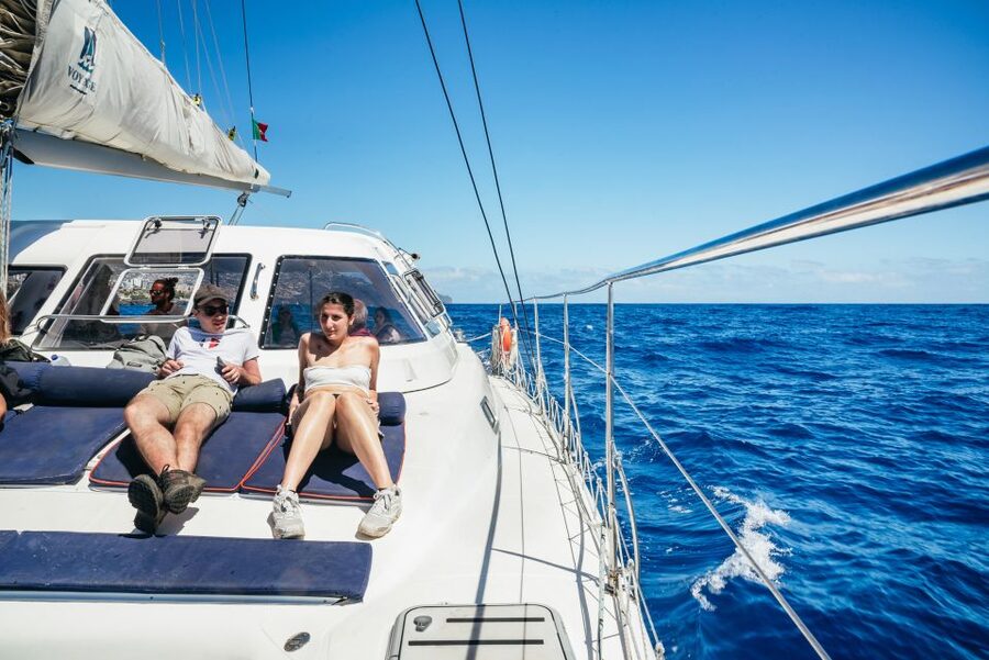 Funchal: Dolphin and Whale Watching by Luxury Catamaran - What to bring and what to expect onboard